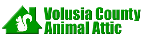 Volusia County Animal Attic